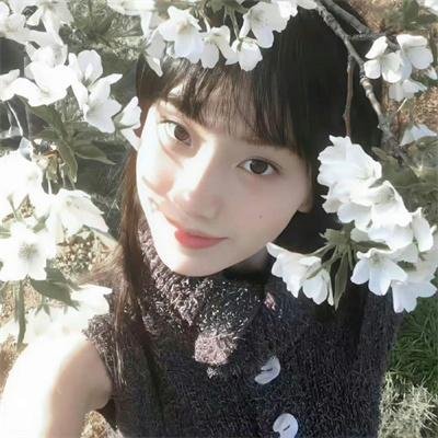 永远恋爱真美